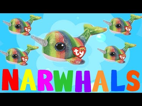 Narwhal commercial song